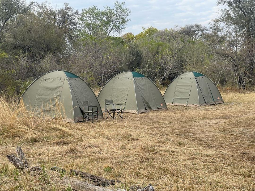 Campsite