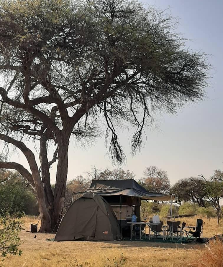 Bow Tent