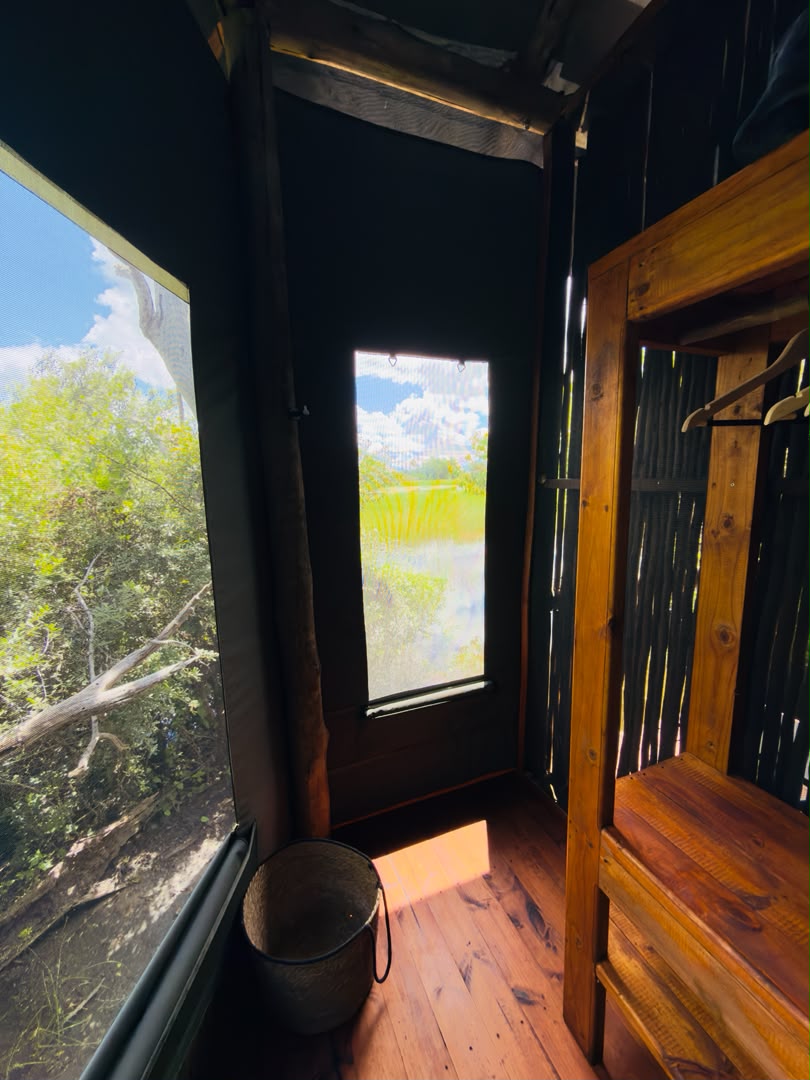 Wetlands View