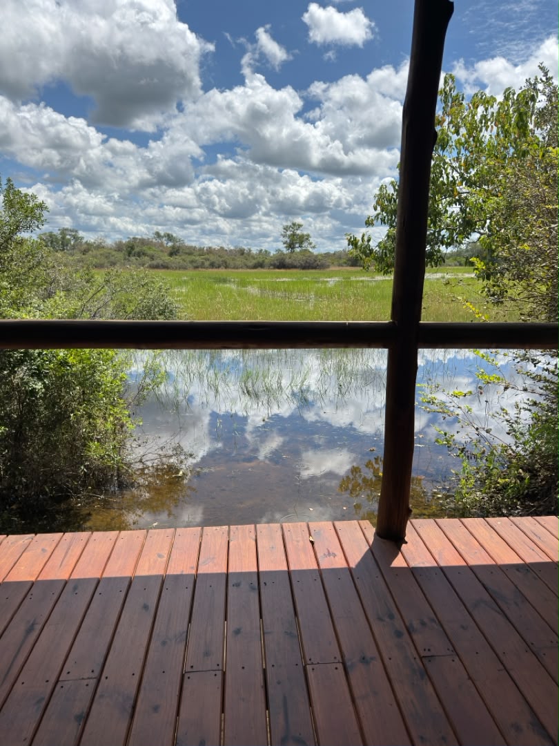 Room with Scenic View